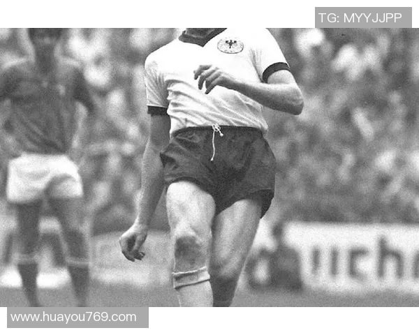 小白看足球球星从懵懂入门到热血追星的成长故事